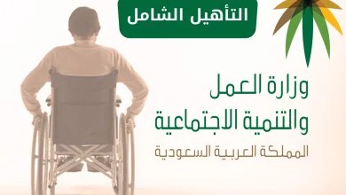 التأهيل الشامل