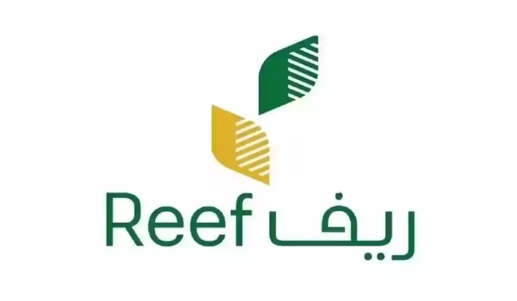 رابط وخطوات الاستعلام عن دعم ريف لشهر يناير والفئات الجديدة المستفيدة 2025