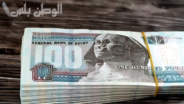زيادات جديدة في الرواتب والمعاشات 2025 الحكومة المصرية تعلن عن تحسينات كبيرة في الأجور