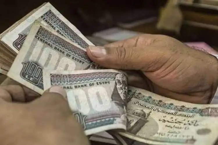 قوى: زيادة مكافأة نهاية الخدمة لهذه الفئات وهذه خطوات حساب قيمتها