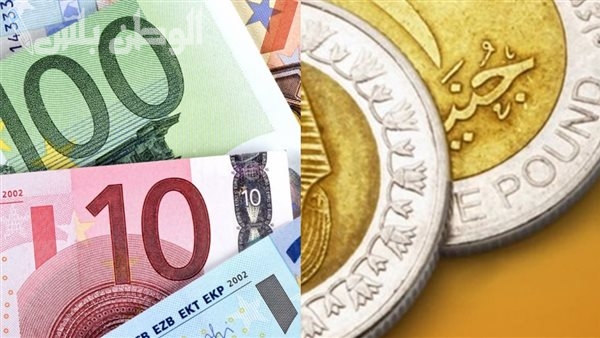 كم سعر الجنيه المصري أمام اليورو في تعاملات اليوم الأربعاء 29-1-2025 100 يورو كام مصري في السوق السوداء