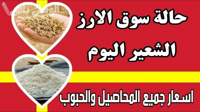 سعر طن الأرز الشعير اليوم الأحد 19 يناير 2025 في الأسواق المحلية