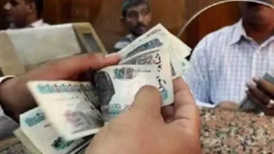 صرف معاشات فبراير 2025