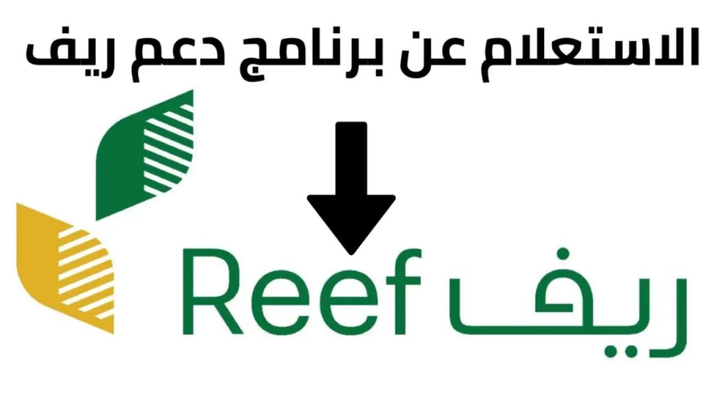 بالرابط والخطوات | كيفية الاستعلام عن دعم ريف 1446 وتسجيل الدخول عبر البوابة الإلكترونية