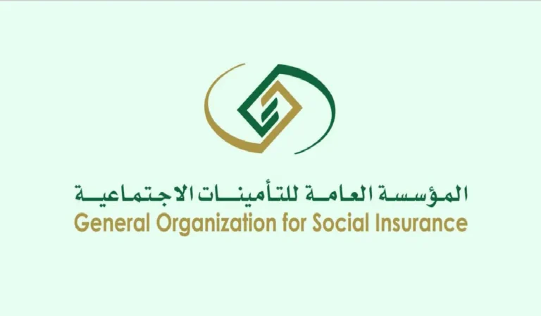 كيفية التسجيل في دعم التأمينات الاجتماعية.. خطوة بخطوة