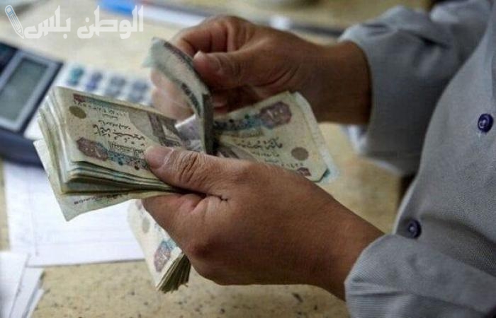 بشرى لأصحاب المعاشات.. موعد صرف معاشات فبراير 2025 وكيفية الاستعلام إلكترونيًا عبر nosi.gov.eg