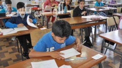 نتيجة الصف الرابع الابتدائي الترم الأول