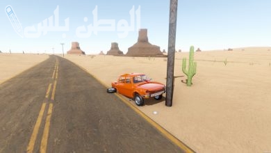 The Long Drive