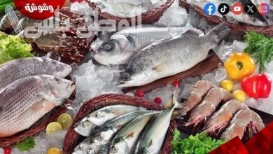 أسعار الأسماك