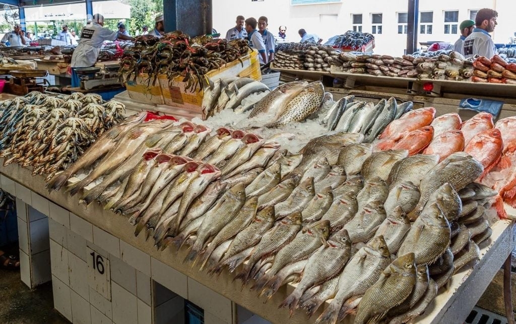 الأربعاء 26 فبراير | أسعار الأسماك اليوم (بلطي + بوري + جمبري) في سوق العبور