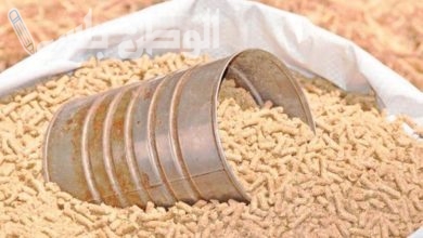 أسعار الأعلاف