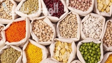 أسعار البقوليات اليوم