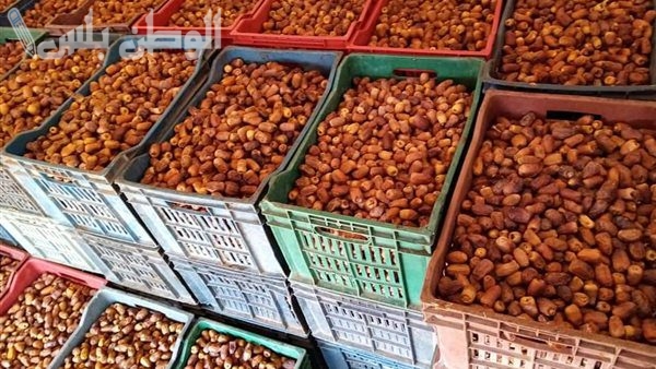 قبل رمضان بأيام.. أسعار البلح والتمور في المحلات المصرية اليوم الأربعاء