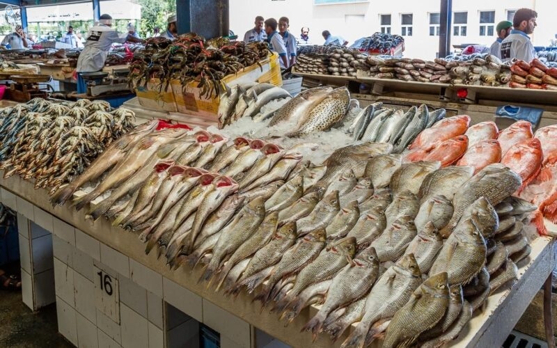 أسعار البلطي والجمبري والبوري.. آخر تحديث لأسعار الأسماك اليوم الخميس 6-2-2025