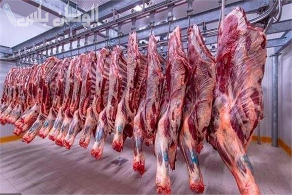 مفاجآت الأسواق: أسعار اللحوم اليوم السبت 15 فبراير 2025 في مصر.. الكندوز والضأن بين الارتفاع والانخفاض