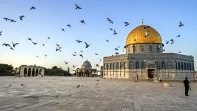 اذاعة مدرسية عن القضية الفلسيطنية