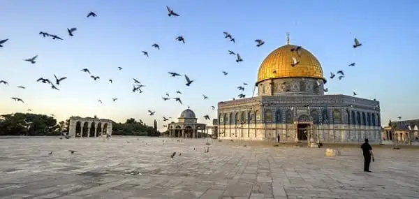 مفيدة لكل مستمع.. اذاعة مدرسية عن القضية الفلسيطنية كاملة الفقرات