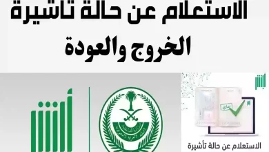 الاستعلام عن حالة التأشيرة السعودية