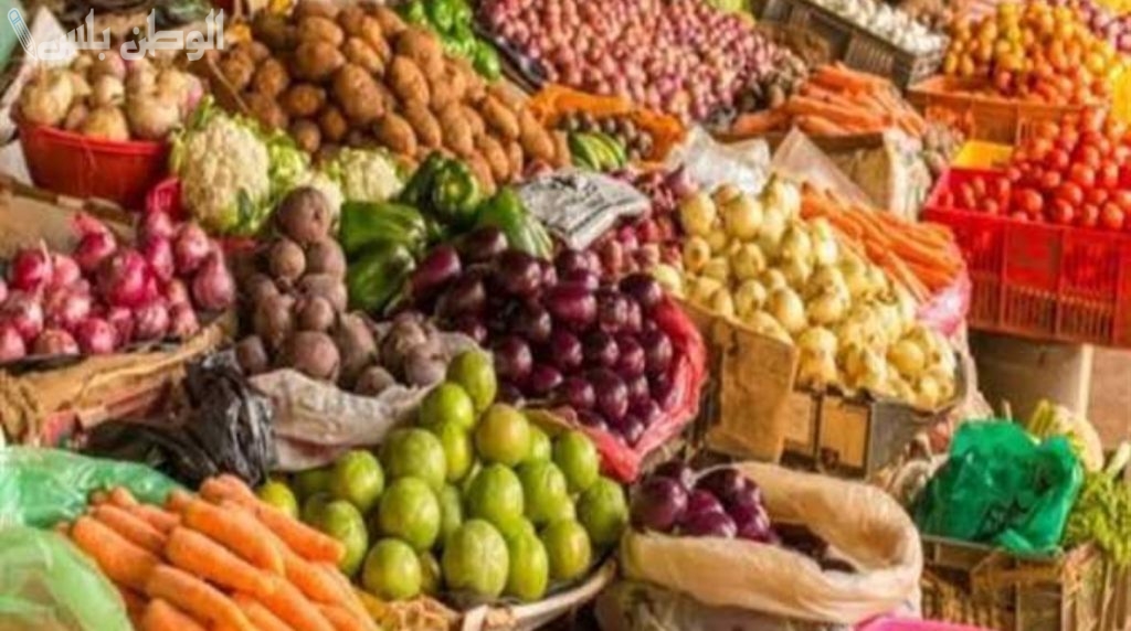 استقرار ملحوظ | سعر الخضروات اليوم الخميس 20 فبراير 2025 في الأسواق وسط تقلبات الطلب