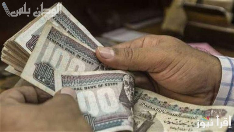 موعد صرف المعاشات: خطوات استعلام معاش مارس 2025 عبر الموقع الرسمي nosi.gov.eg