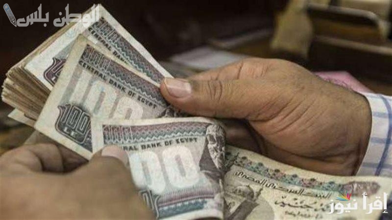 موعد صرف المعاشات: خطوات استعلام معاش مارس 2025 عبر الموقع الرسمي nosi.gov.eg