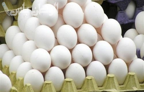 بكم البيض البلدي اليوم في الأسواق للمستهلك؟ سعر كرتونة البيض للمستهلك 1 فبراير