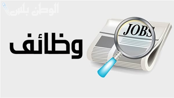 لاحق الفرصة الآن | بوابة الوظائف الحكومية تفتح باب التوظيف بشروط بسيطة في تخصصات عدة