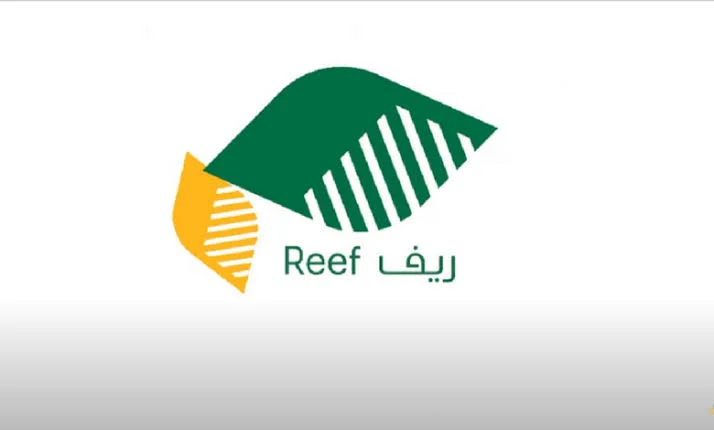 لكل المستفيدين.. خطوات الاستعلام عن دعم ريف دفعة فبراير 2025