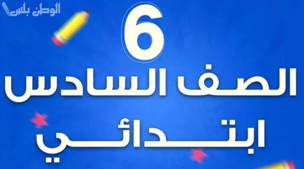 بجميع محافظات العراق.. رابط نتيجة السادس الابتدائي 2025 التمهيدي وطريقة الاستعلام