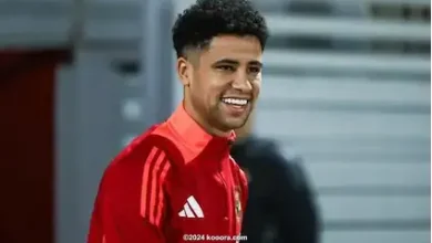 رضا سليم