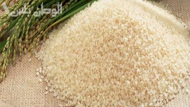 سعر الأرز الشعير يسبب السعادة للمواطنين بسبب تراجعه بشكل ملحوظ