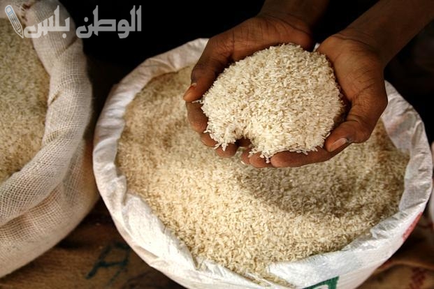 مفاجأة في سعر الأرز الشعير.. سعر الأرز الشعير في مصر الاثنين 3 فبراير