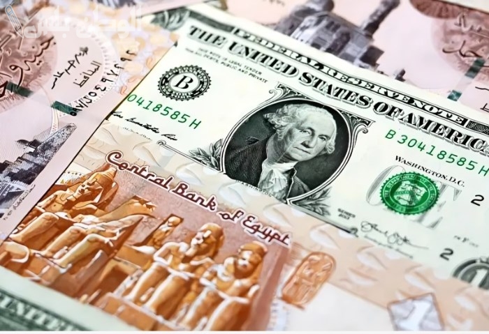 تغير ملحوظ: سعر الدولار في البنوك اليوم الثلاثاء 18 فبراير 2025، مستويات متباينة
