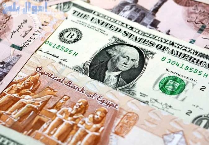 قائمة تعرض سعر الدولار والجنيه المصري في السوق السوداء والبنوك الآن 3 فبراير