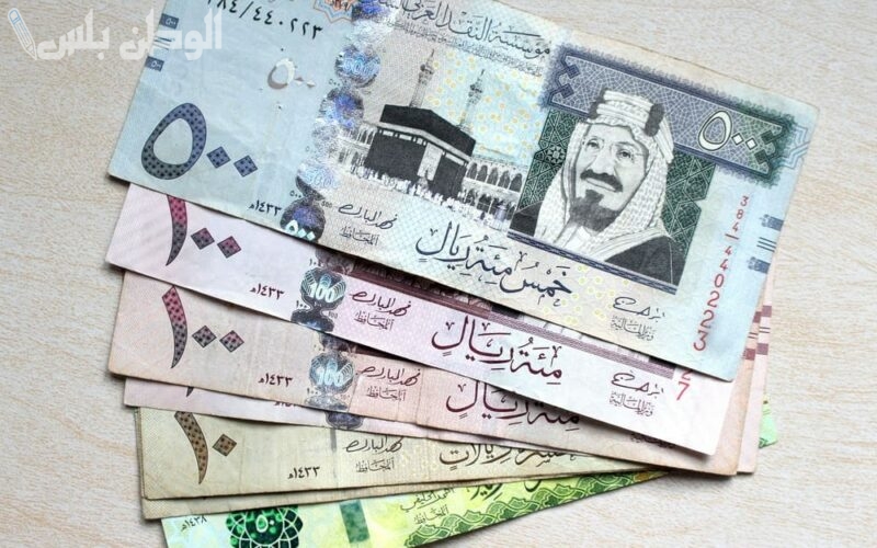 صعود مفاجئ: سعر الريال السعودي مقابل الجنيه في البنك الاهلي اليوم 11 فبراير 2025 – ارتفاع جديد بالسوق