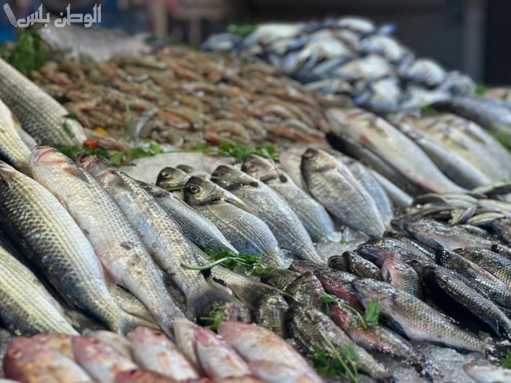بكام سعر السمك والجمبري والمأكولات البحرية في السوق المصري يوم 5 فبراير 2025