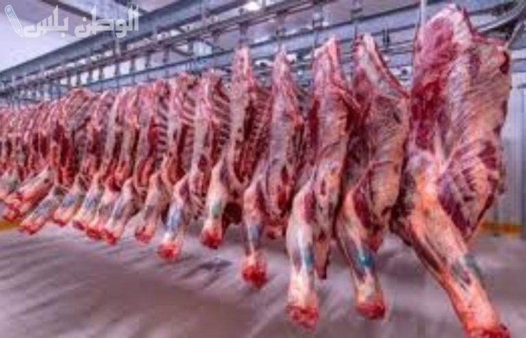 زيادة مستمرة | سعر اللحوم اليوم الاثنين 17 فبراير 2025 في الأسواق والمجازر المصرية