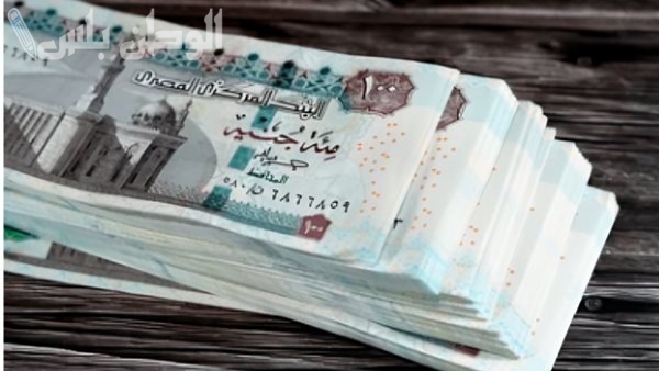 وزارة المالية: تبكير صرف مرتبات فبراير 2025 لكل القطاعات في مصر وجدول الحد الأدنى للأجور لعام 2025