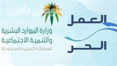 طريقة التقديم على قرض العمل الحر للنساء