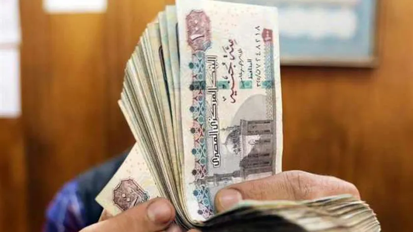 كم ستكون زيادة المعاشات للمتقاعدين؟ مؤسسة التقاعد تعلن عن نسب الزيادة الجديدة