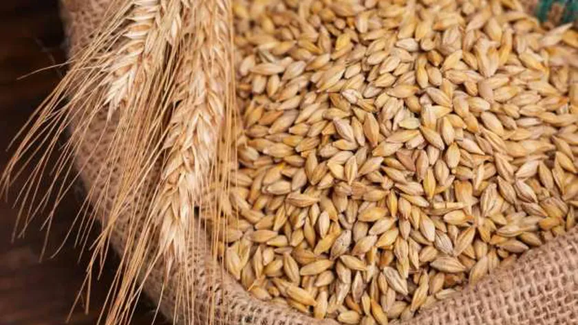 كم سعر طن الارز الشعير؟ اسعار الأرز الأبيض والشعير اليوم الإثنين 10 فبراير 2025 بالأسواق