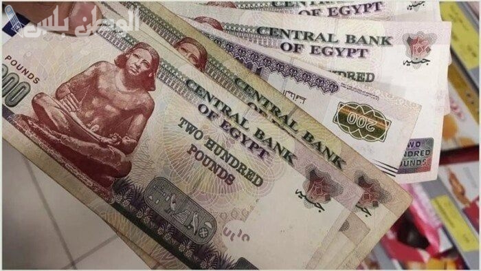 شوف قبضك كام | رسميًا زيادة مرتبات شهر فبراير 2025 وتفاصيل قرار المالية الجديد