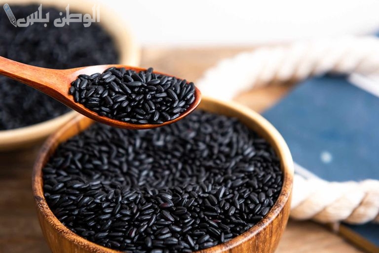 اوعى تاكله حتى لو ببلاش مصر تحظر زراعة الأرز الأسود لهذا السبب الصادم