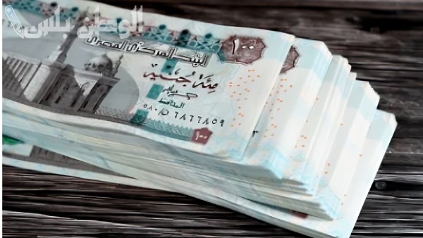 كم ستزيد مرتبات 2025؟ وزارة المالية تكشف التفاصيل