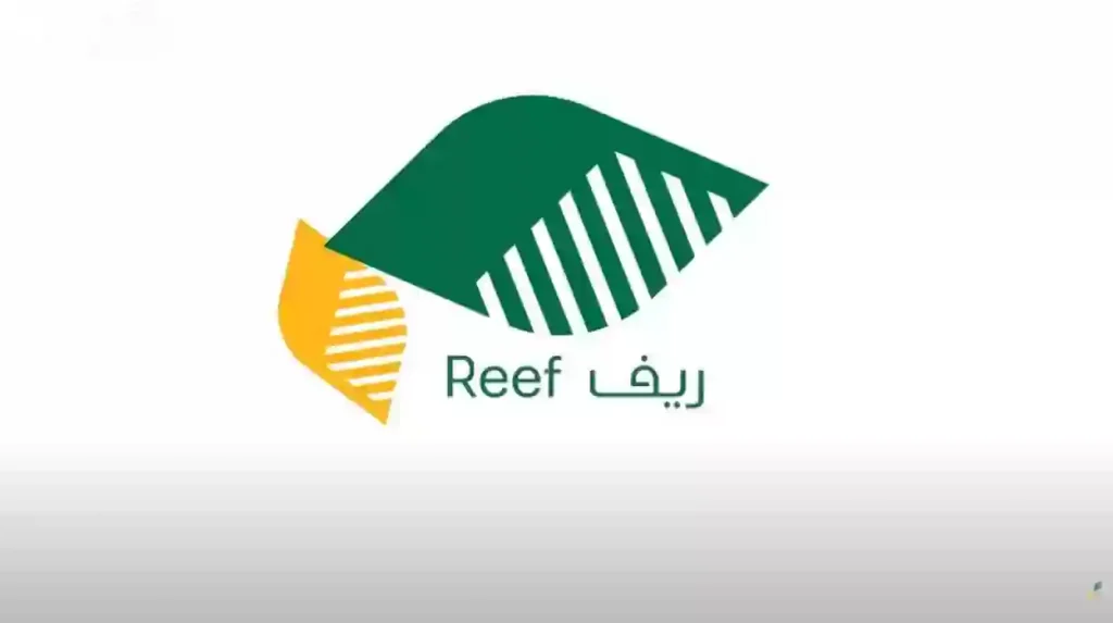 موعد صرف دعم ريف لهذا الشهر.. متى ينزل المبلغ في حساب المستفيدين؟