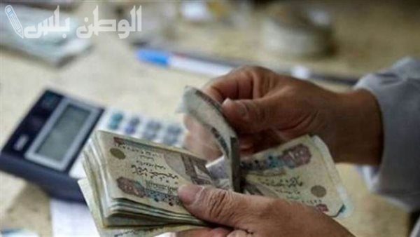 حقيقة ام اشاعة وزارة المالية تعلن موعد صرف رواتب المتقاعدين في مصر 2025 وجدول زيادة المعاشات الجديدة