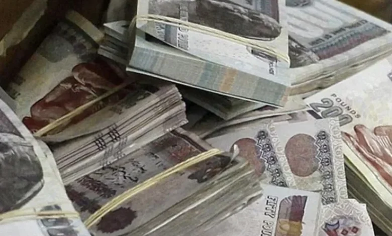 رسميًا.. وزارة المالية تُعلن موعد صرف مرتبات فبراير 2025 بالزيادة الجديدة قبل حلول الشهر الكريم