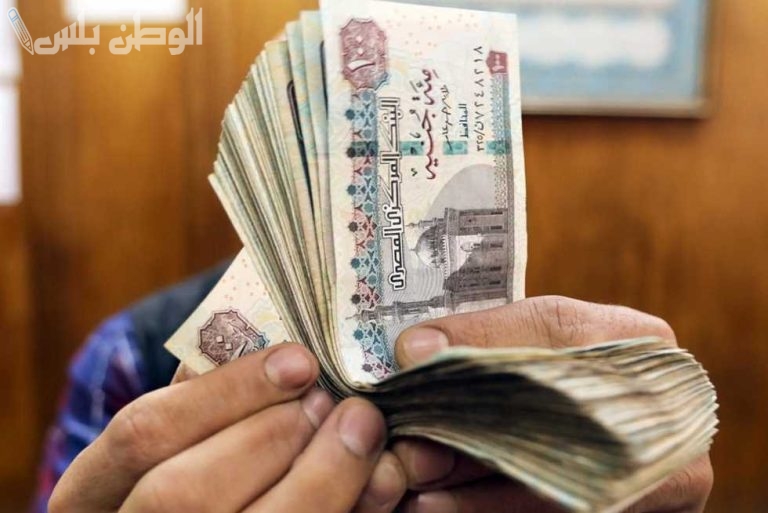 موعد صرف معاشات مارس 2025.. الهيئة القومية تُعلن