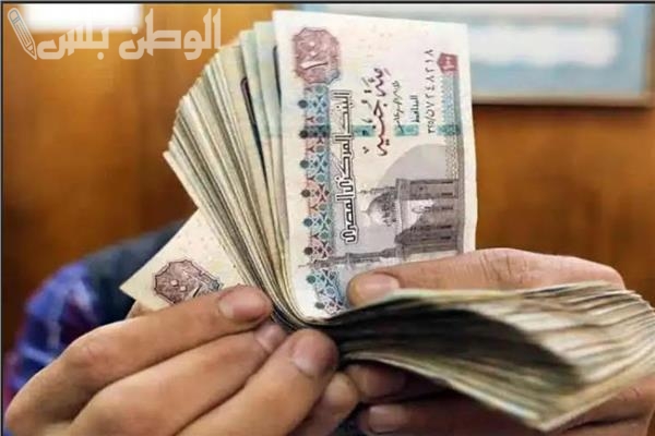 موعد صرف منحة العمالة الغير منتظمة لشهر رمضان 2025 وخطوات الاستعلام عن المنحة عبر الموقع الرسمي