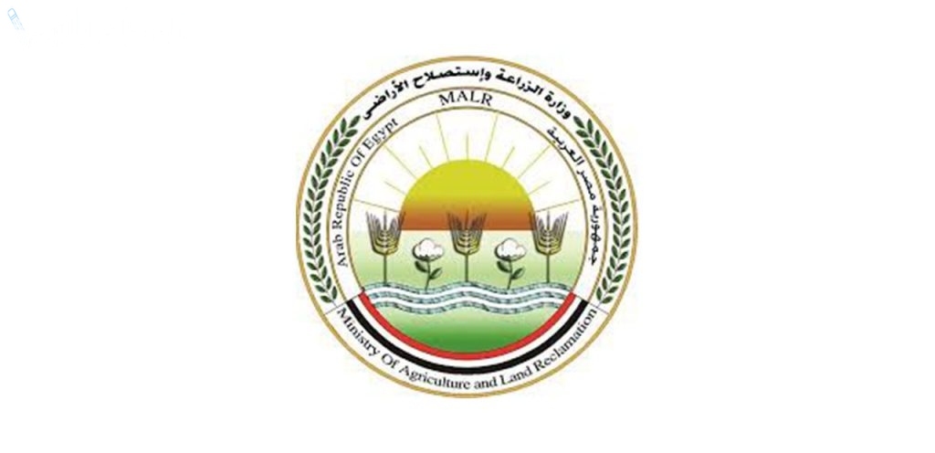 وزارة الزراعة تعلن عن استراتيجيات جديدة لزيادة إنتاج المحاصيل الاستراتيجية
